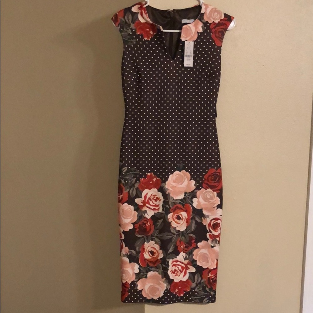 Brown polka dotted dress